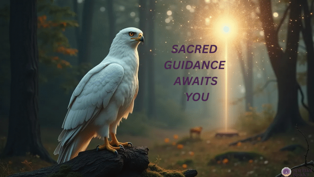 When the White Hawk Appears