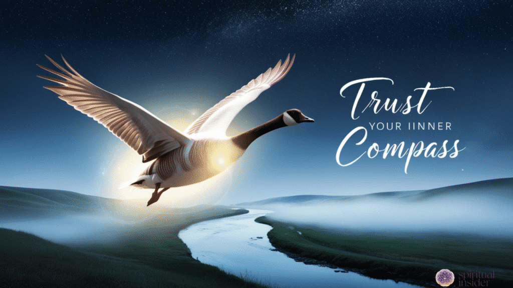 Divine Guidance