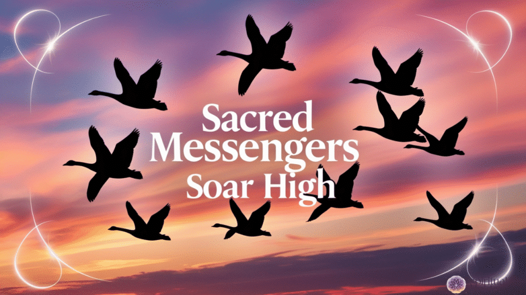 17 Sweet Spiritual Meaning of Geese